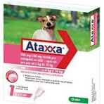 Ataxxa 500 mg/100 mg (chiens de 4 kg à 10 kg) 1×1 ml, solution pour chiens