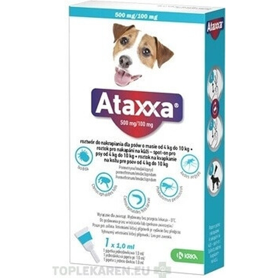 Ataxxa 500 mg/100 mg (chiens de 4 kg à 10 kg) 1×1 ml, solution pour chiens