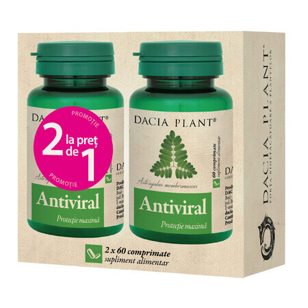 Antivirale Echinacea und Astragalus, 60 Tabletten, 1+1, Dacia Plant