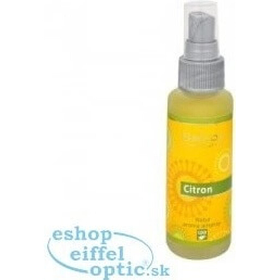 SALOOS Spray Parfumé Air Citron 1×50 ml spray