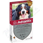 Advantix Spot-on pour chiens de 40 à 60 kg (1 pipette) 1x6 ml