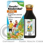 SALUS Floradix Kindervital fruity 1×250 ml, herbal syrup