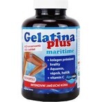 TEREZIA Gelatine Plus 1×360 cps, nutrition des articulations