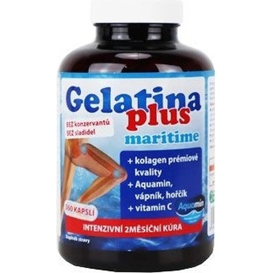 TEREZIA Gelatine Plus 1×360 cps, nutrition des articulations