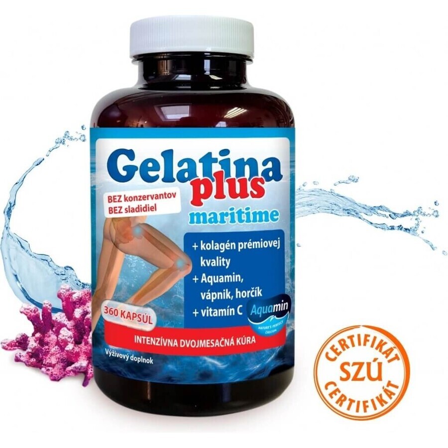 TEREZIA Gelatine Plus 1×360 cps, nutrition des articulations