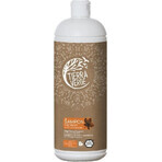 Tierra Verde Shp Gastano's Gastano's Vona Orange 1×1 l, shampooing fortifiant pour cheveux