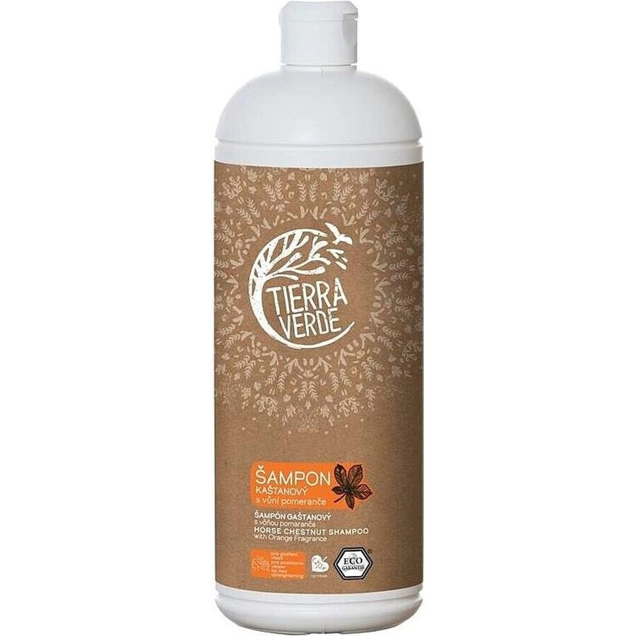 Tierra Verde Shp Gastano's Gastano's Vona Orange 1×1 l, shampooing fortifiant pour cheveux