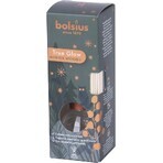 Bolsius True Glow Diffuseur Bois d'hiver Bâtons parfumés Bois d'hiver 1×45 ml, parfum d'ambiance