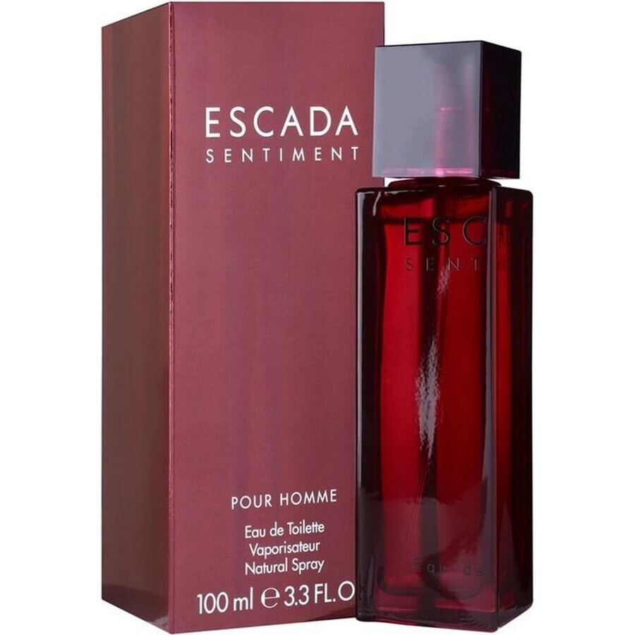 Escada Sentiment Pour Homme Edt 100ml 1×100 ml, Eau de toilette