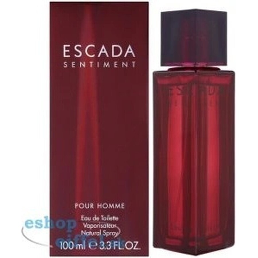 Escada Sentiment Pour Homme Edt 100ml 1×100 ml, Eau de toilette