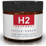 H2 TREATMENT ACTIVE CREAM 1×60 ml, crème active pour le visage