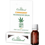 Cannaderm CANNADENT suero regenerador 1×5 ml, suero regenerador