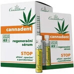 Cannaderm CANNADENT suero regenerador 1×5 ml, suero regenerador