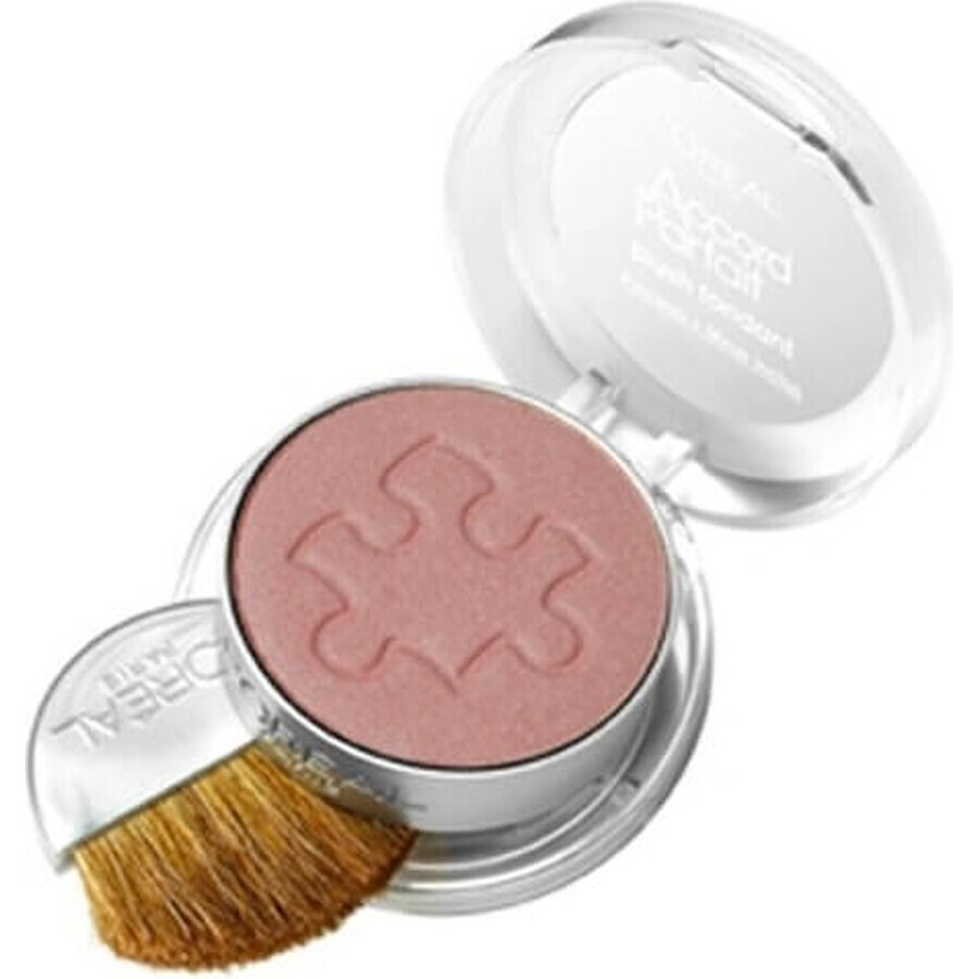 L'Oréal Paris True Match Le Blush 120 1×5 g, blush