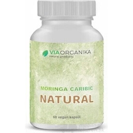 VIA ORGANIC moringa caribic moringa NATURAL 60 gélules 60 cps, complément alimentaire