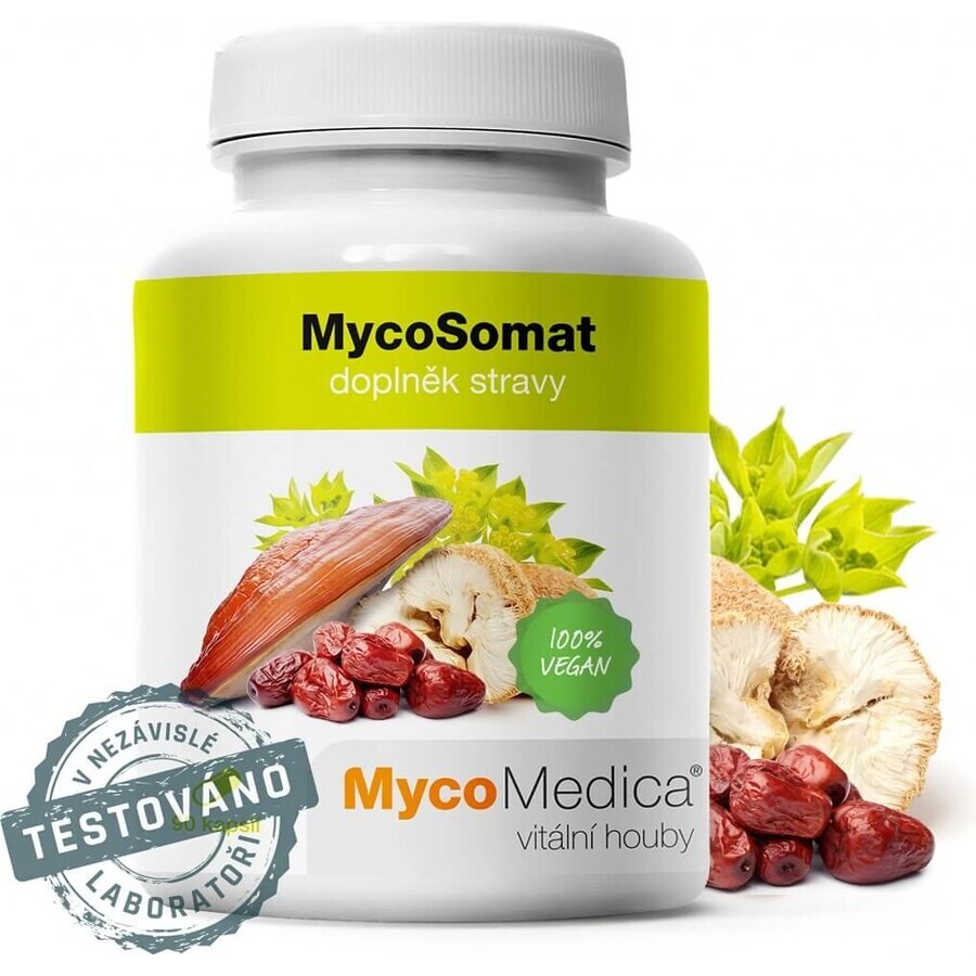 Mycomedica Mycosomat Vegan 500mg 90cps 1×90 cps