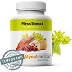 Mycomedica Mycosomat Vegan 500mg 90cps 1×90 cps