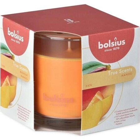 Bolsius Aromatic 2.0 Mango Geurkaars Fles 1×1 st, 95 x 95 mm