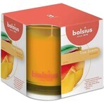 Bolsius Aromatic 2.0 Mango Geurkaars Fles 1×1 st, 95 x 95 mm