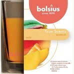 Bolsius Aromatic 2.0 Mango Geurkaars Fles 1×1 st, 95 x 95 mm