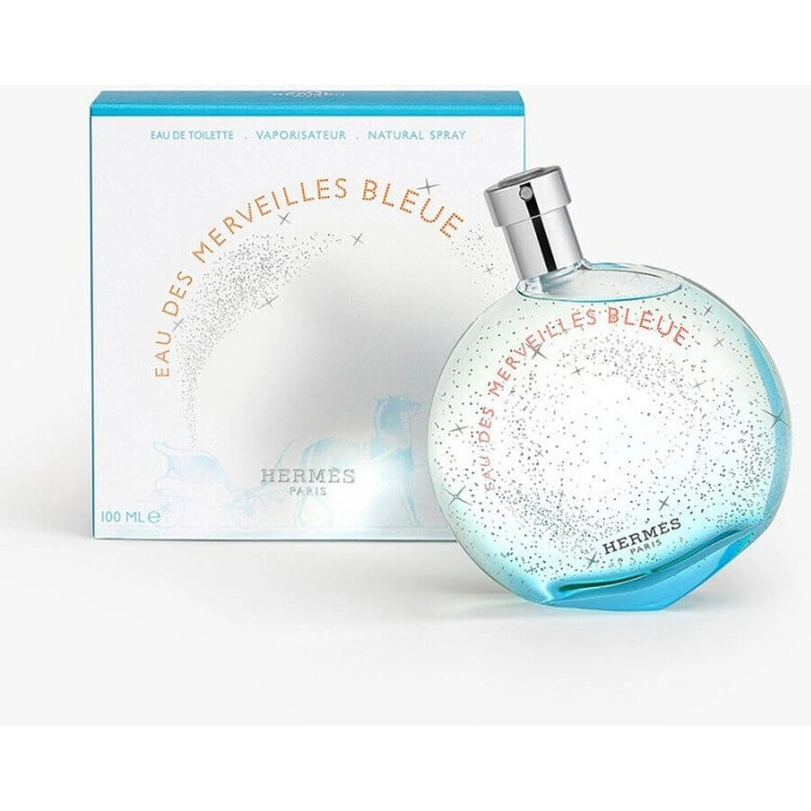 Hermes Eau Des Merveilles Bleue Eau Des Merveilles Edt 100ml 1×100 ml, eau de toilette