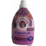 Chanteclair Orchid&Fico 57PD 1×1140 ml Chanteclair Orchid&Fico 57PD 1×1140 ml, fabric conditioner