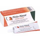 Pinio-Nasal pommade nasale 1×10 g, pommade nasale