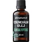 Allnature Eucalyptus huile essentielle 1×10 ml, huile essentielle