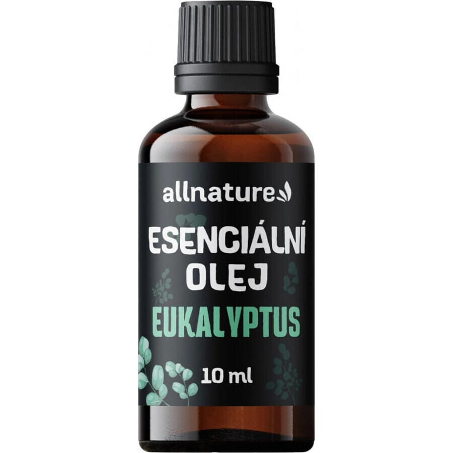 Allnature Eucalyptus huile essentielle 1×10 ml, huile essentielle