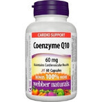 WEBBER NATURALS Coenzyme Q10 60 mg 1×60 cps, food supplement