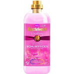 Kuschelweich Weichspüler - Pink Emotions, 38 Wäschen 1×1 l, Weichspüler