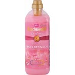 Kuschelweich Weichspüler - Pink Emotions, 38 Wäschen 1×1 l, Weichspüler