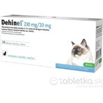 DEHINEL 230 mg/20 mg pour chats 1×30 tbl, médicament