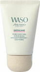 Shiseido Waso Satocane - masque 1&#215;80 ml, masque