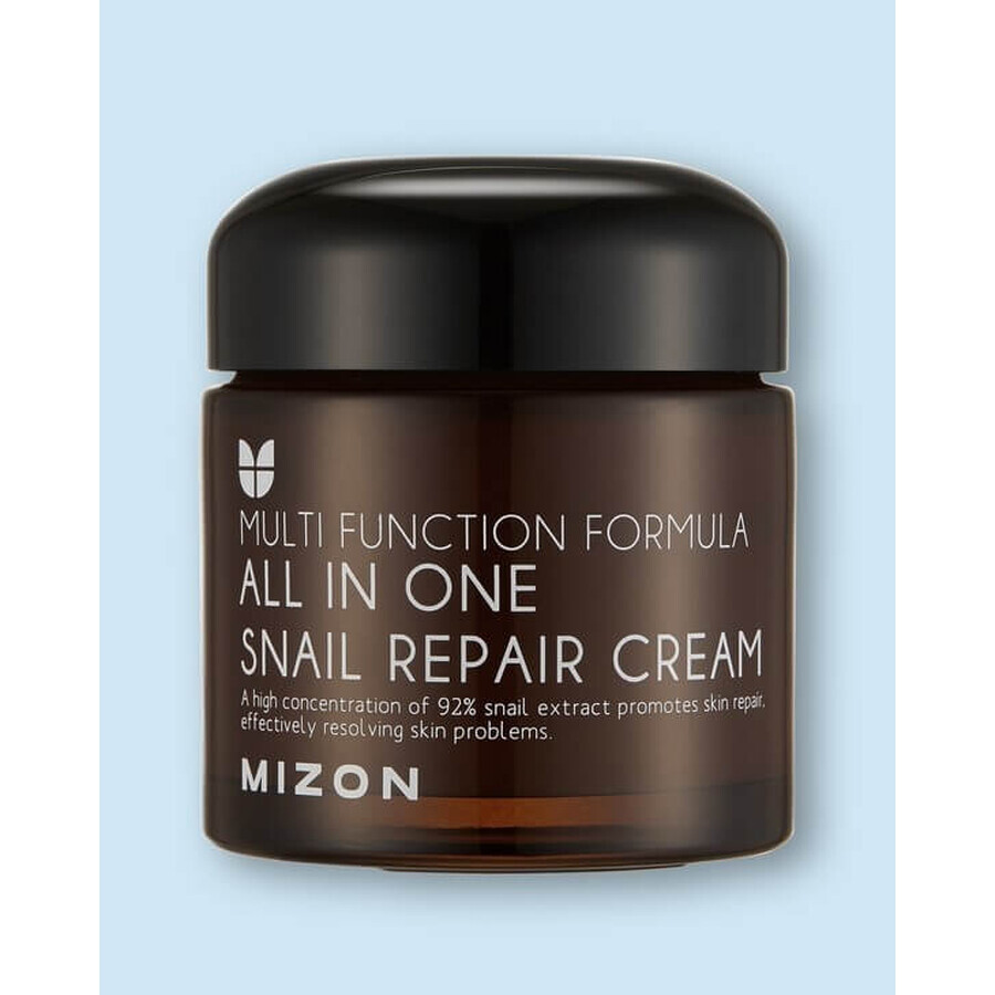 Mizon All In One Snail Repair Cream 75 ml 1×75 ml