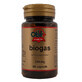 Biogaz 250 mg, 60 g&#233;lules, Obire