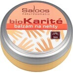 Saloos bioKarité conditionneur d'ongles 1×19 ml, haute teneur en zinc, régénère, adoucit