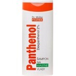 Dr. Müller PANTHENOL SHAMPOO For oily hair 1×250 ml, shampoo