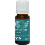 Tierra Verde Tea Tree Huile Essentielle Biologique 30ml 1×1 pc, huile