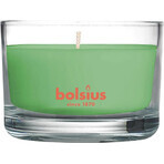 Bolsius Aromatic 2.0 Candela profumata in vetro con tè verde 1×1 pz, dimensioni 80 x 50 mm