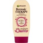 Garnier BOTANIC THERAPY RICINUS OIL OIL BALM 1×200 ml, hair conditioner