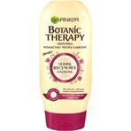 Garnier BOTANIC THERAPY RICINUS OIL OIL BALM 1×200 ml, hair conditioner