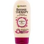 Garnier BOTANIC THERAPY RICINUS OIL OIL BALM 1×200 ml, hair conditioner