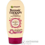 Garnier BOTANIC THERAPY RICINUS OIL OIL BALM 1×200 ml, hair conditioner