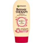 Garnier BOTANIC THERAPY RICINUS OIL OIL BALM 1×200 ml, hair conditioner