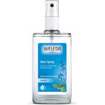 WELEDA Salbei Deodorant 1×200 ml, Deodorant, Nachfüllpackung - ohne Spray