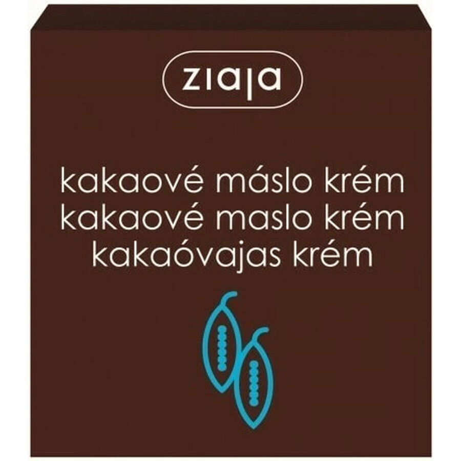 Ziaja - nährende Hautcreme mit Kakaobutter 1×50 ml, Hautcreme