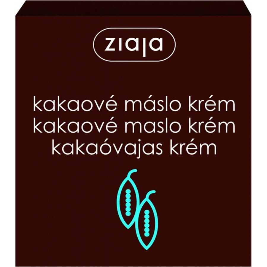 Ziaja - nährende Hautcreme mit Kakaobutter 1×50 ml, Hautcreme