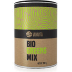 GYMBEAM VANAVITA VANAVITA BIO GREENS MIX 1×300g, mezcla de superalimentos verdes