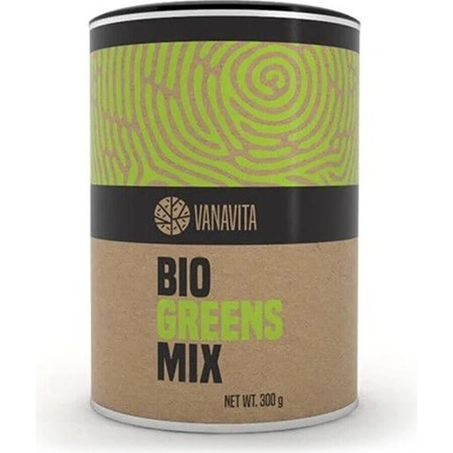 GYMBEAM VANAVITA VANAVITA BIO GREENS MIX 1×300g, mezcla de superalimentos verdes